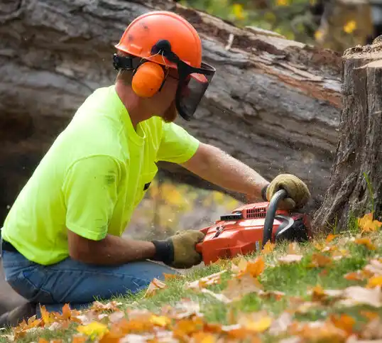 tree services Dearborn